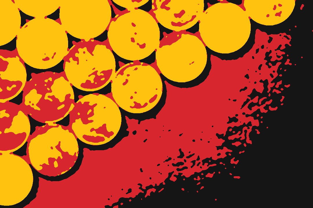 Gold-coloured coins spread across a dark surface.